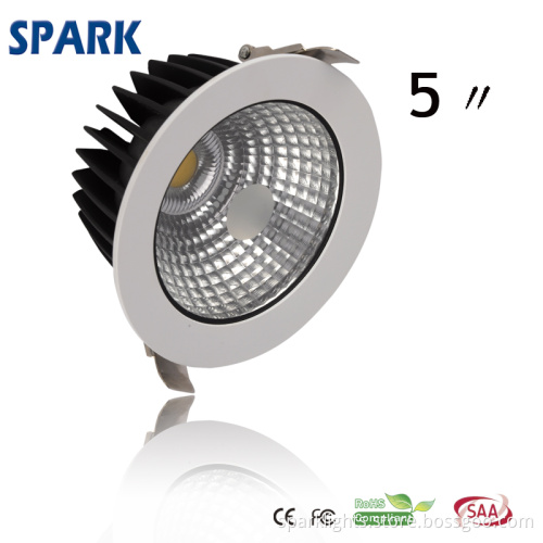 IP65 LED Ceiling Down Light for Office Lighting (SPD-DL2020)